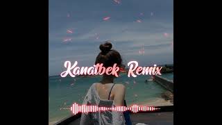 Птичка - (Tanirbergen & Kanatbek Remix)